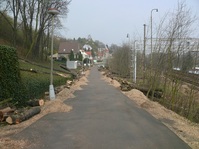 Kácení aleje v lázeňském parku Kyselka v Bílině.