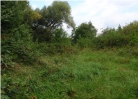 Řešené pozemky v k. ú. Brandýs nad Labem